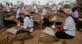 <div class="node-info"> Terbit pada Kamis, 1 Oktober 2015</div>