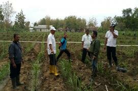<div class="node-info"> Terbit pada Jumat, 29 April 2016</div>