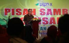 <div class="node-info"> Terbit pada Rabu, 21 September 2016</div>